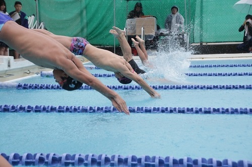 397A4095(2)水泳.jpg