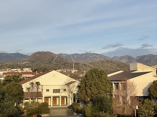 IMG_1043.jpeg