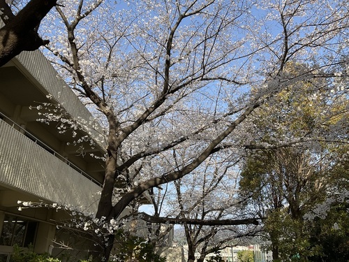 IMG_1132.jpeg