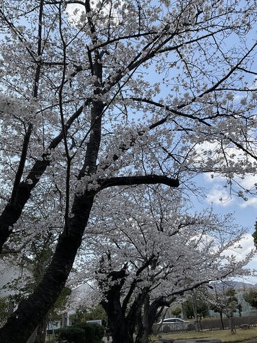 IMG_1143.jpeg