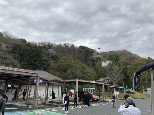 IMG_1213.jpeg
