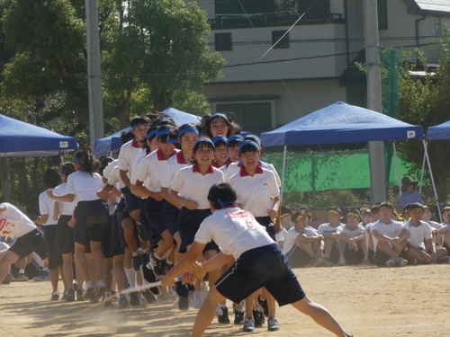 P1000655.JPG