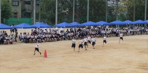 P1040216.jpg