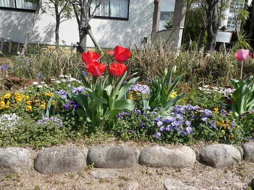 P1180221.JPG