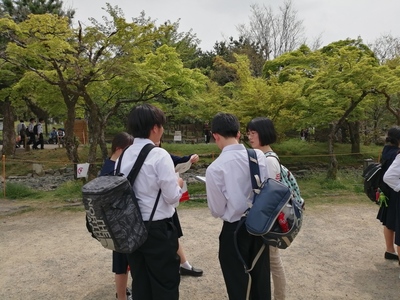 IMG_20190423_141100.jpg