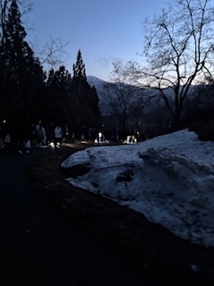 image4.jpeg